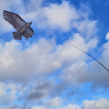 Load image into Gallery viewer, BIRD SCARE KITE with 9M Telescopic Pole
