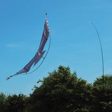 Load image into Gallery viewer, BIRD SCARE KITE with 9M Telescopic Pole
