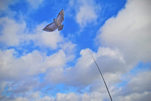 Load image into Gallery viewer, BIRD SCARE KITE with 9M Telescopic Pole
